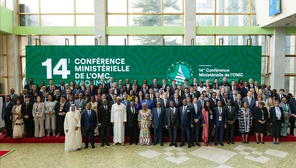 Reflections on the 2026 Trade & Sustainability Hub: Africa in the Global Green Economy | Ibrahim Garba
