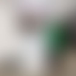 Empowering Central African Farmers: Digital Solutions for Climate Resilience | Nfor Miriam