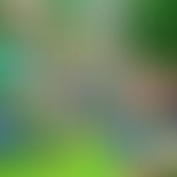 No Planet B - Action Now! Kah Kyria