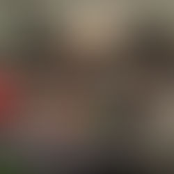 Where is Innovation? | Ayuk Tabong Sandrine Ojong