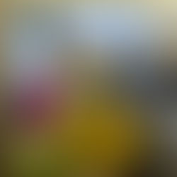 Reaching out to conflict-plagued zones with essential health services | Platine Nyuyki, MD