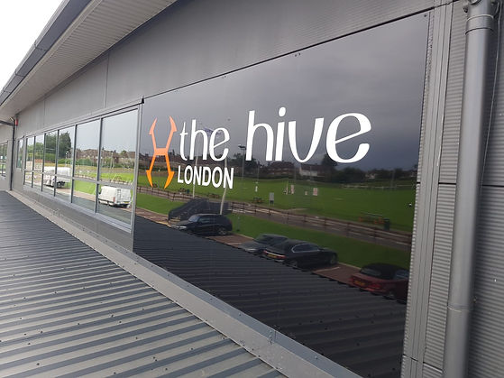 Window Graphics 2.jpeg