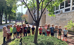 Adopted Tree 1 (1).jpg