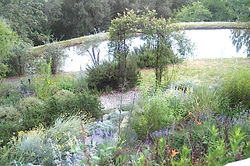 Kathi-Garden-Pond-IMG_2258