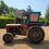 Thumbnail: 1959 Massey Ferguson 35