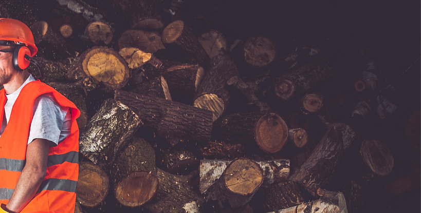 vecteezy_satisfied-lumber-worker_24517248_edited.png