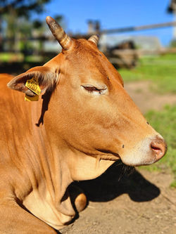 fc7f2fcd-d056-4fae-b170-7c4359a6dded