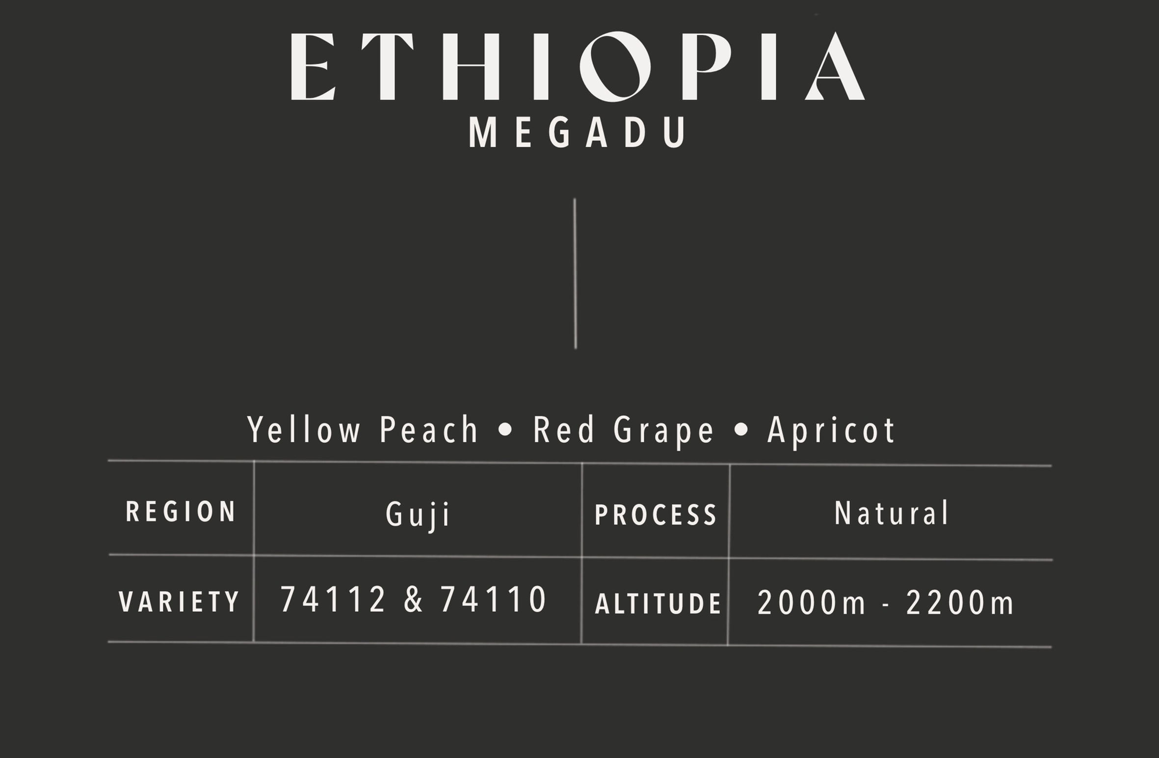 Megadu | Ethiopia Guji Natural 74112 & 74110