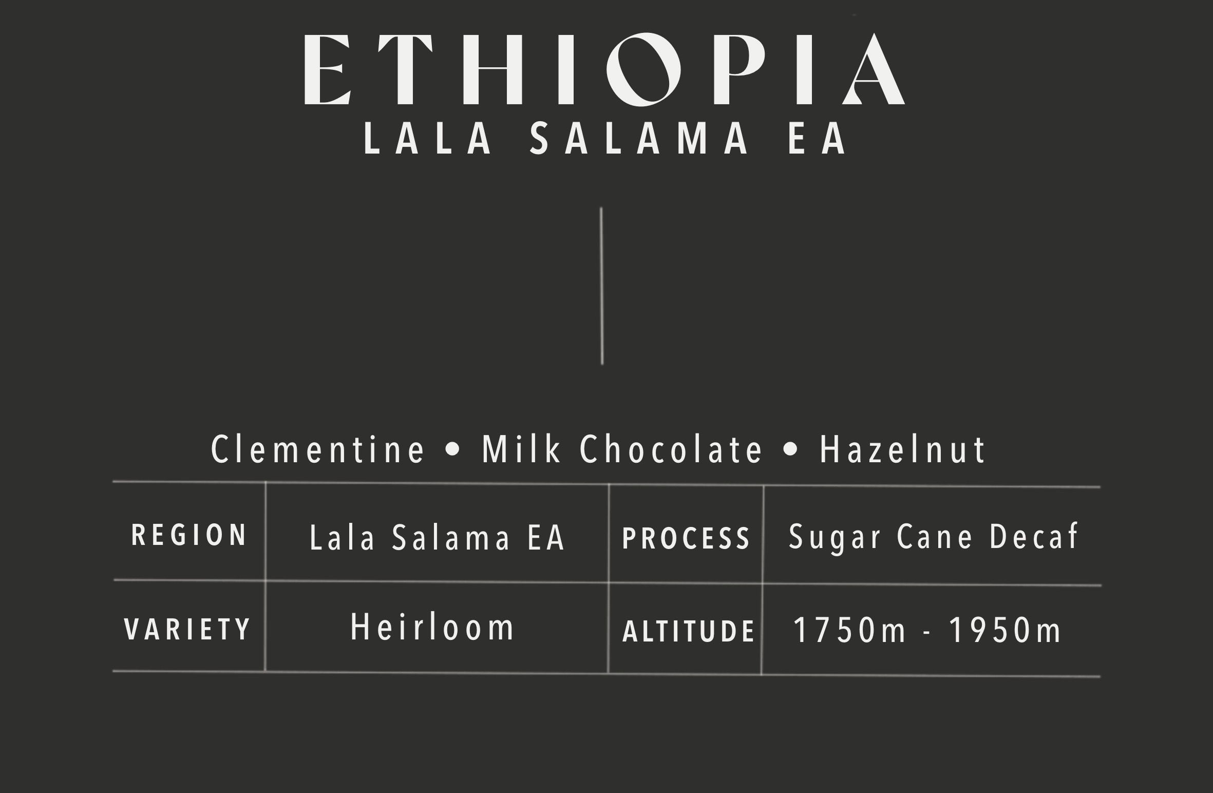 Lala Salama EA | Ethiopia | Decaf Heirloom