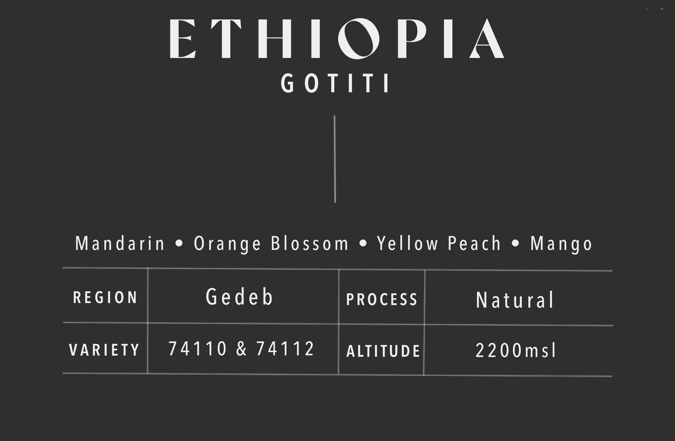 Gotiti | Ethiopia | Natural 74110 & 74112