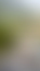 Discover the Charm of a Wedding in Historic Valais, Switzerland