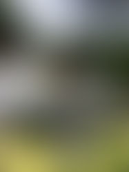 A Timeless Wedding at the Beau-Rivage Palace | Anne & Quentin’s Elegant Day in Lausanne