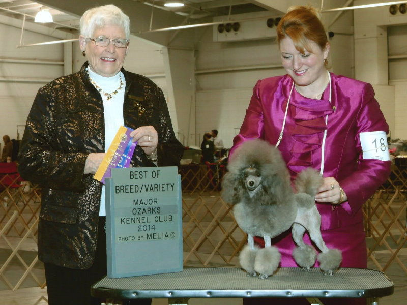Breezy Springfield Dog Show 11-2014 b.jpg