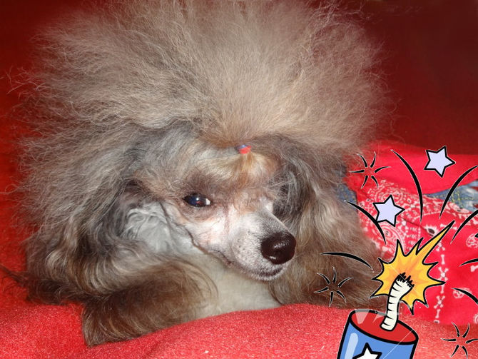 Happy Birthday Pinkie