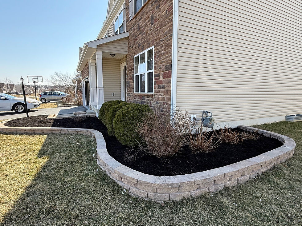 Elevate your outdoor space with professional landscaping services in Dublin