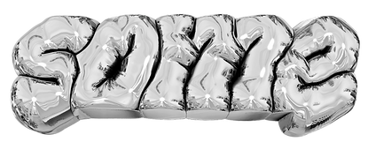 some space logo farbanpassungen png.png