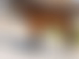 SOLD- NAUGHTY VISIONS- Lovely Unraced filly