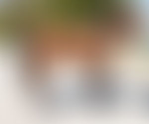 SOLD! TEMRIK beautiful 16.2h mare