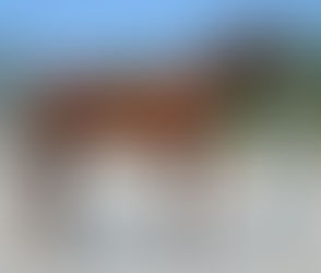 SOLD - DARREN'S LEGACY- 17 hand gelding