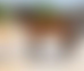 SOLD!- WILDWOOD'S DREAM - dreamboat gelding