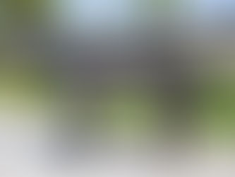 SOLD - FADE FROM BLACK - Dark Grey Stunner of a boy (Macho Uno)