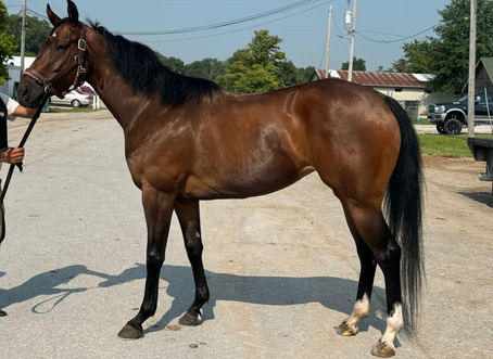 SOLD! - SAVED BY CLAYTON- Small but mighty!!