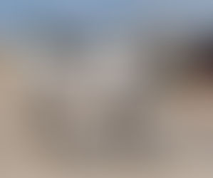 SOLD- Ghaaleb's Domain - very pretty 15.3 hand mare