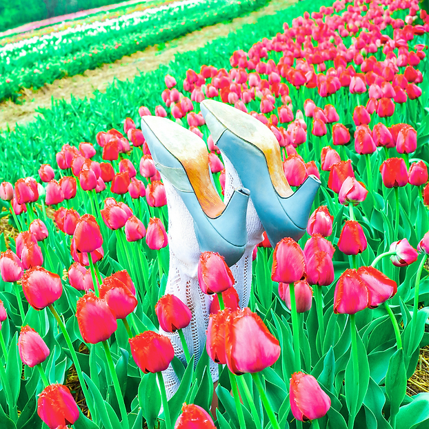 Untitled design (1).png