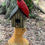 Thumbnail: SOLD! Chainsaw Carved Cardinal On Birdhouse