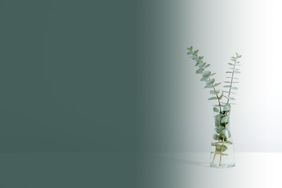 green fern plant inside clear glass vase-greengradient.jpg