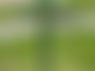 Öppettider Midsommarhelg