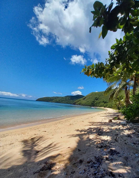 beach landscape