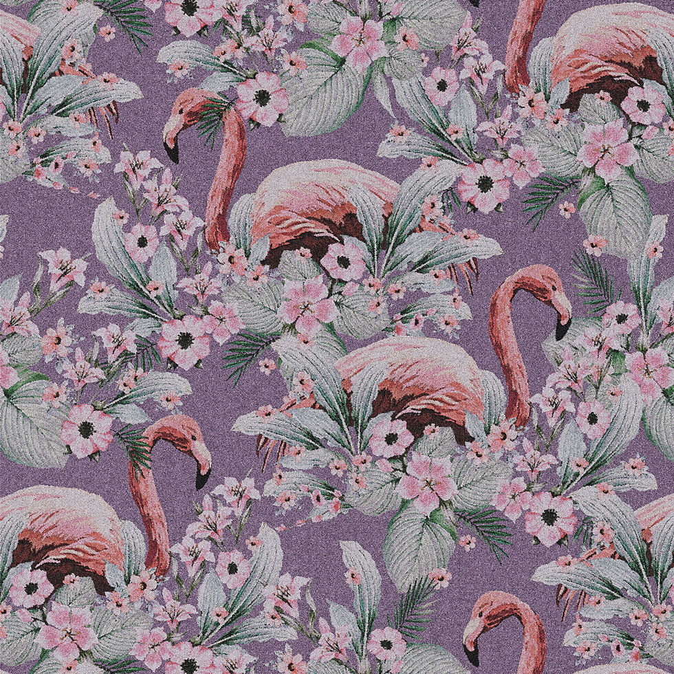 Miniatura: PHOENICOPTERUS