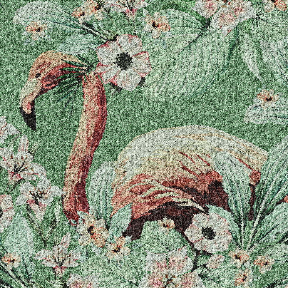 Miniatura: PHOENICOPTERUS