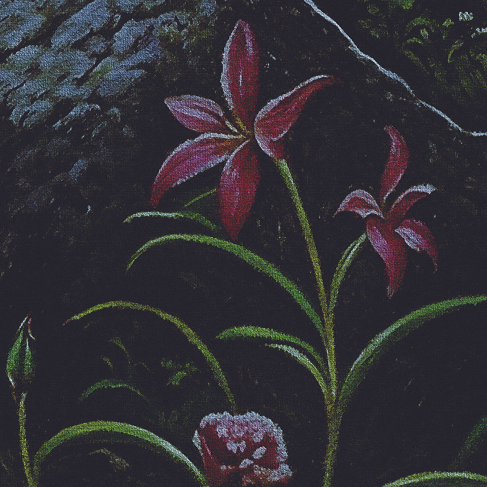 Miniatura: DIAMANTINA