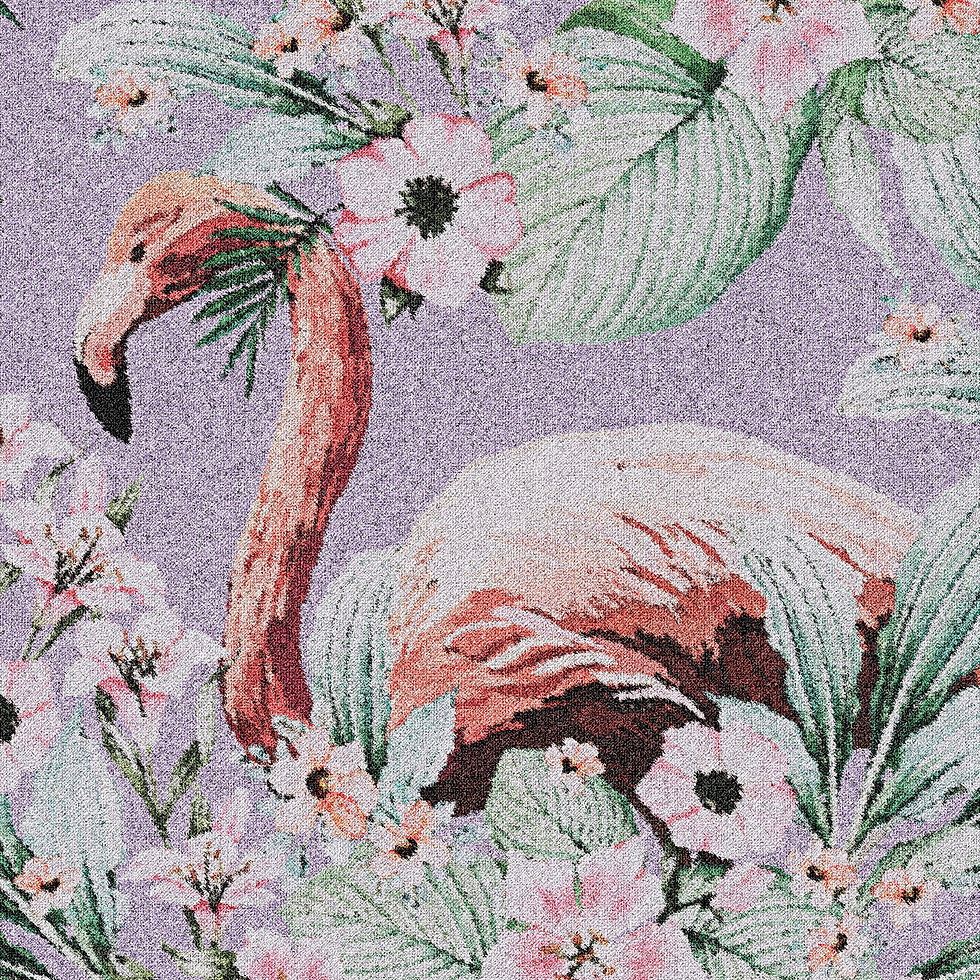 Miniatura: PHOENICOPTERUS