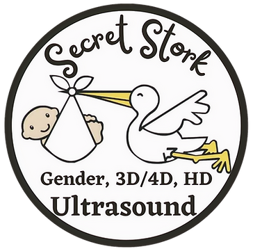Secret Stork Logo_edited.png