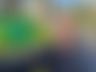 School visit no. 101