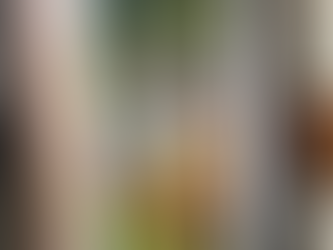 Back in action again!