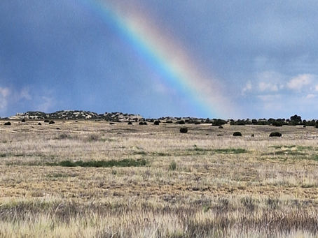 Not Always in the Office - A Nature-Based Therapy Blog: Written By Marilyn Laughlin, LCSW, RYT-500, Certified Nature Therapy Guide