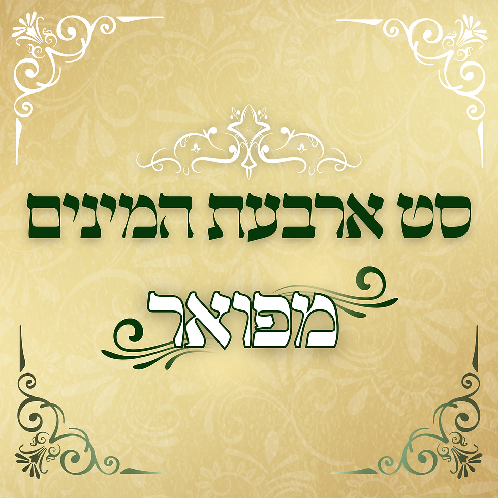 סט 4 מינים - מפואר