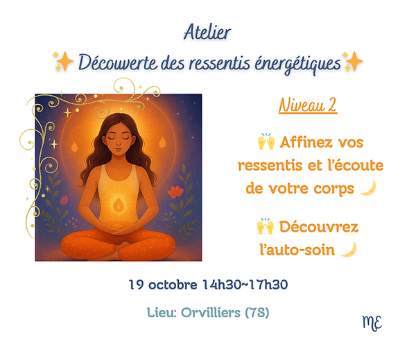 Atelier ressentis énergétiques niv 2.png