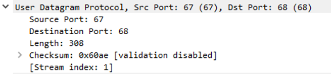 dhcp-offer2