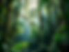 background 2.png