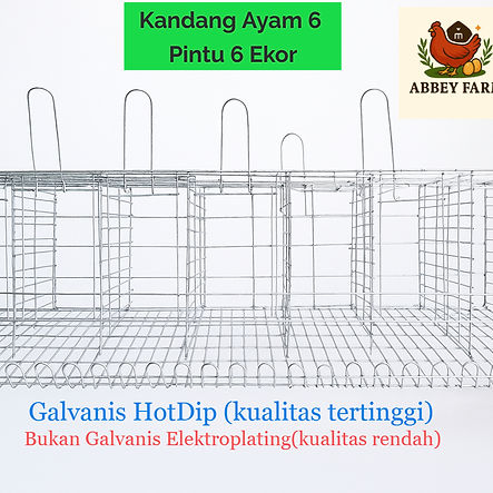 kandang galvanis
