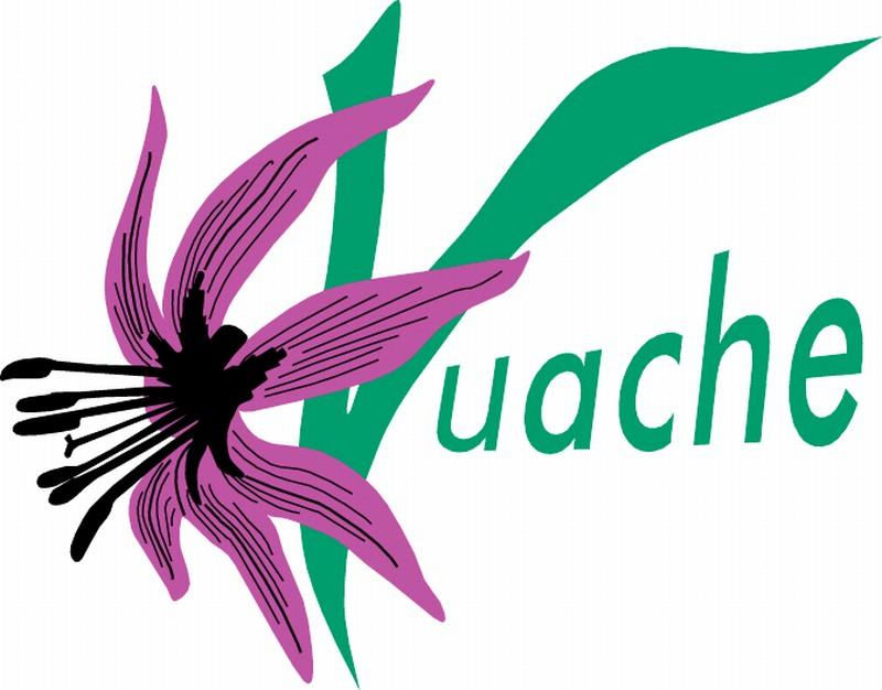 logo du SIPCV