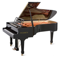 FEURICH 218 Concert I