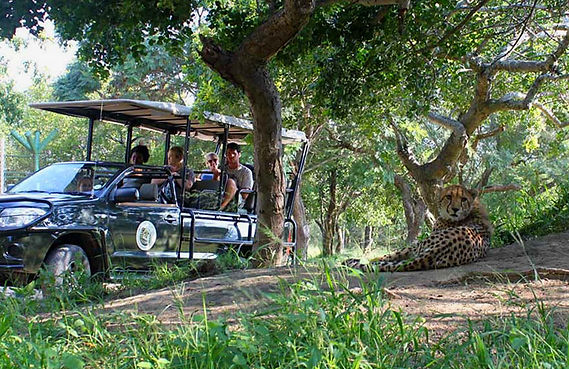 Game Drive