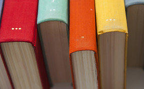 Colorful Book Spines