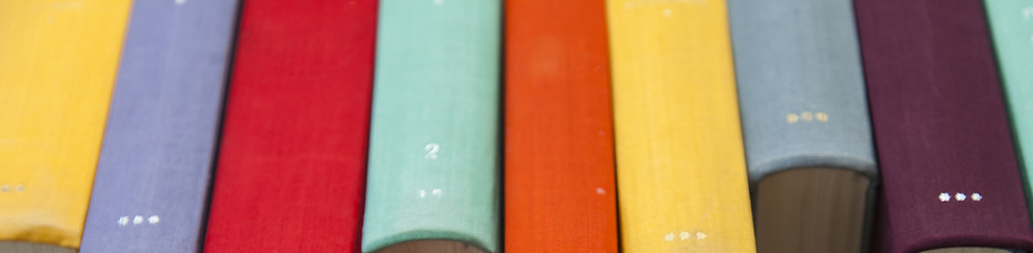 Colorful Book Spines